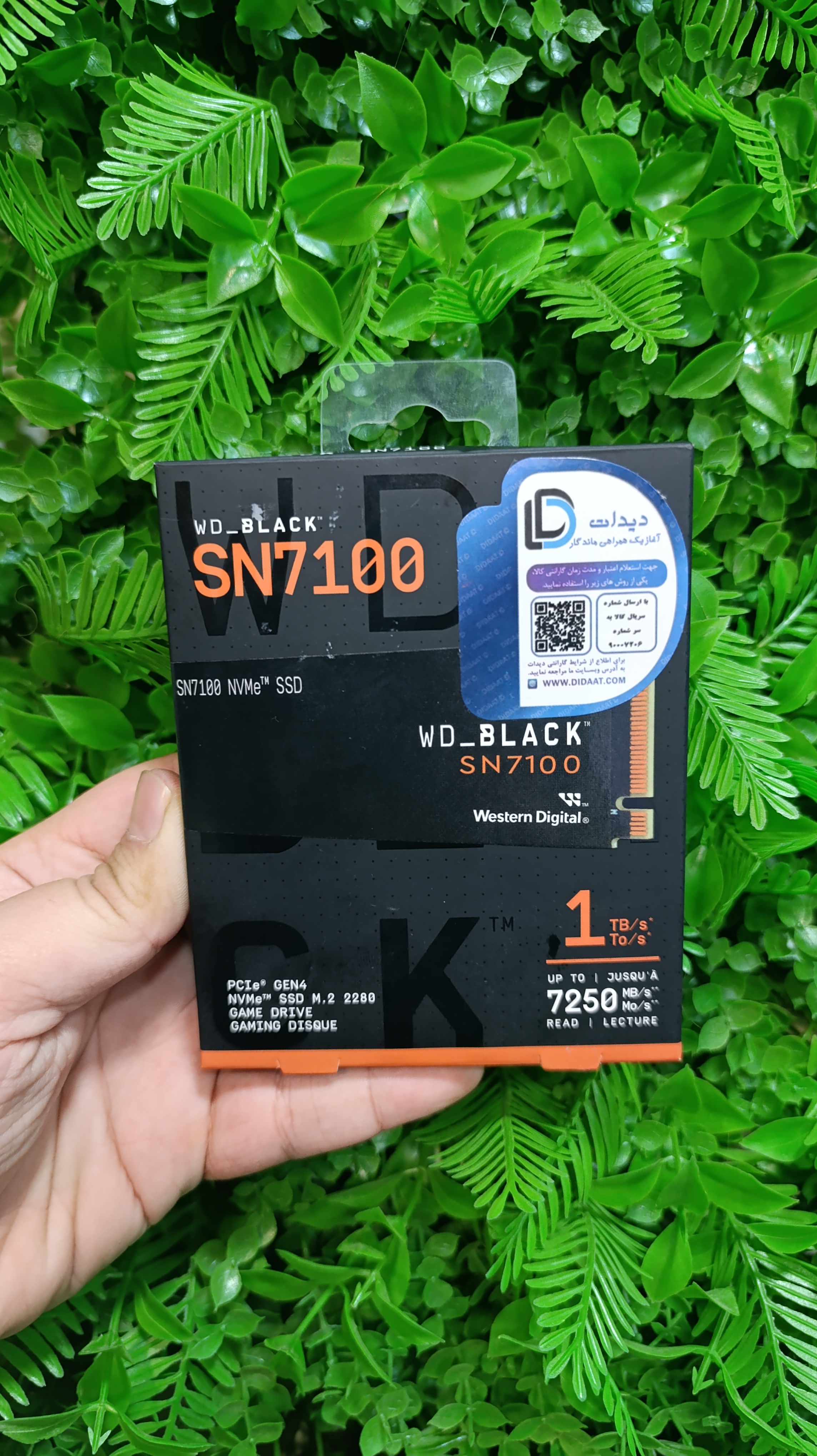 M2 1tb wd